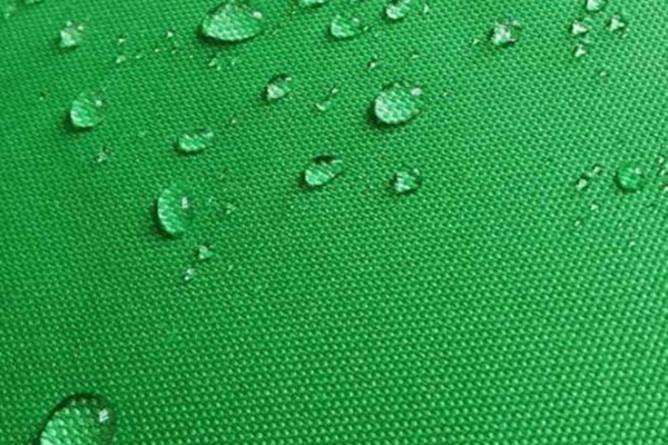 Why 600D is popular in market more than 30 years？