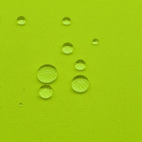 Polyester 300D Fluorescent Fabric